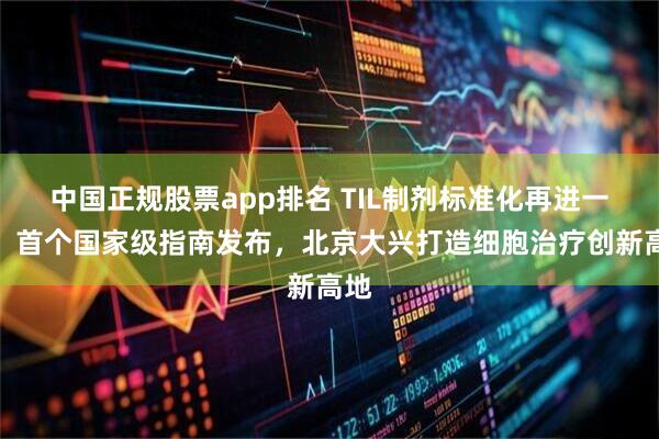 中国正规股票app排名 TIL制剂标准化再进一步：首个国家级指南发布，北京大兴打造细胞治疗创新高地