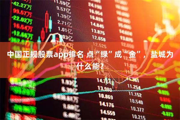 中国正规股票app排名 点“绿”成“金”，盐城为什么能？